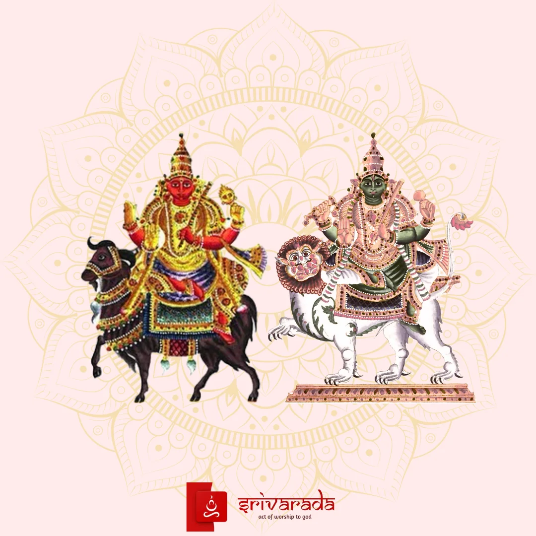 Kuja Rahu Sandhi Shanti - Pariharam service